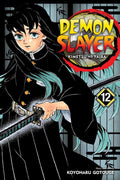 Demon Slayer: Kimetsu no Yaiba, Vol. 12 by Koyoharu Gotouge